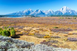 Field and Mountain Range