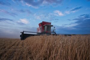 Grain harvester machine collecting wheat seeds in Standard, Alberta, Canada